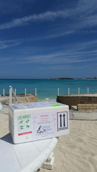 Weltweiter Versand Aqua-Alm